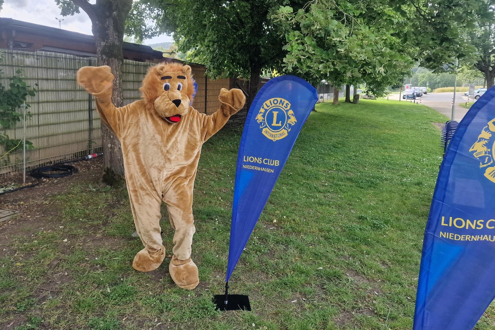 Das Maskottchen der Lions