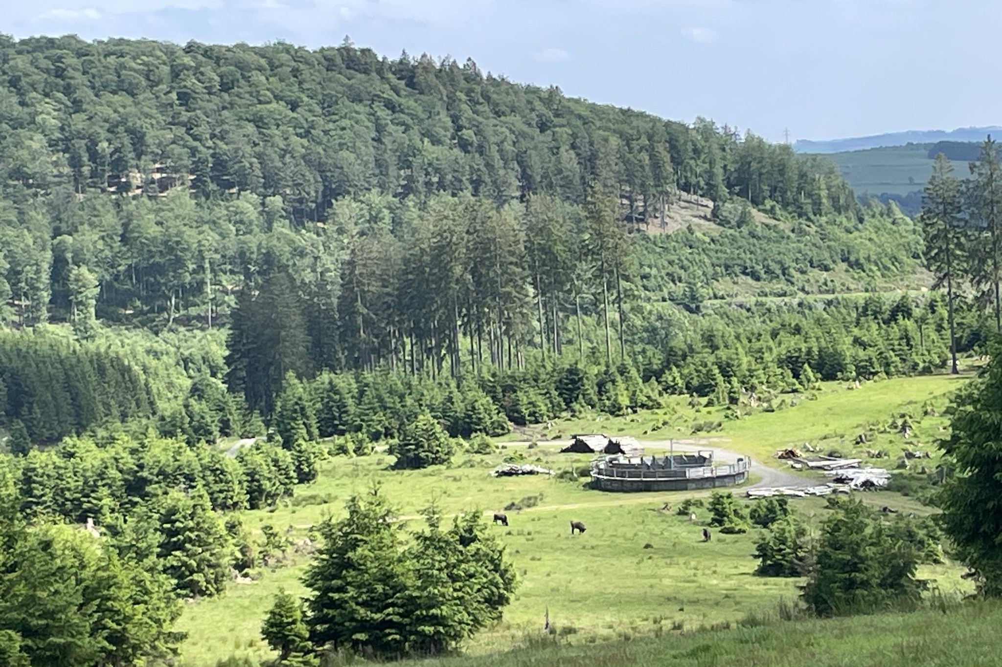 Blick auf das Wisent Gehege