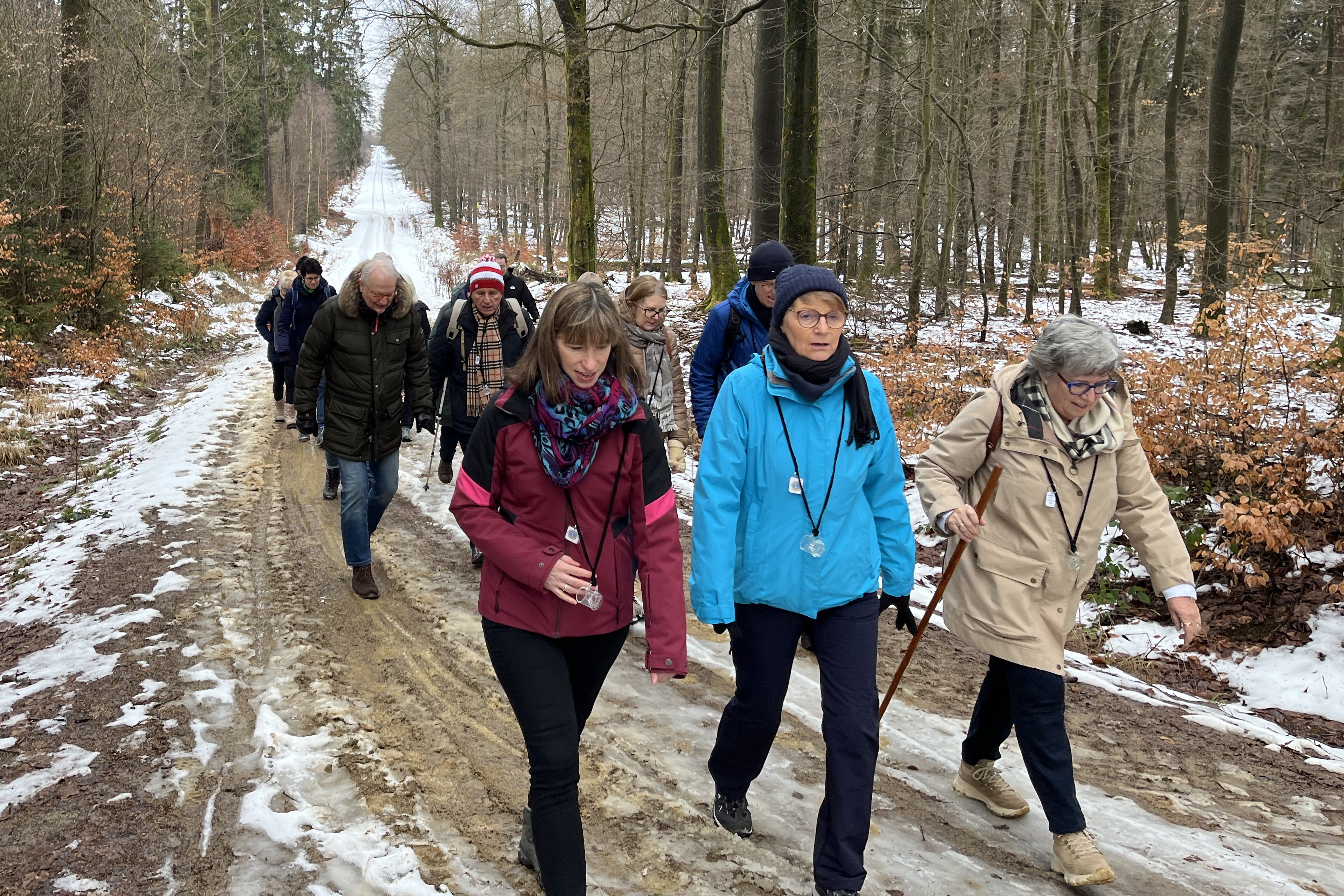 Wanderer des Clubs auf einem Waldpfad