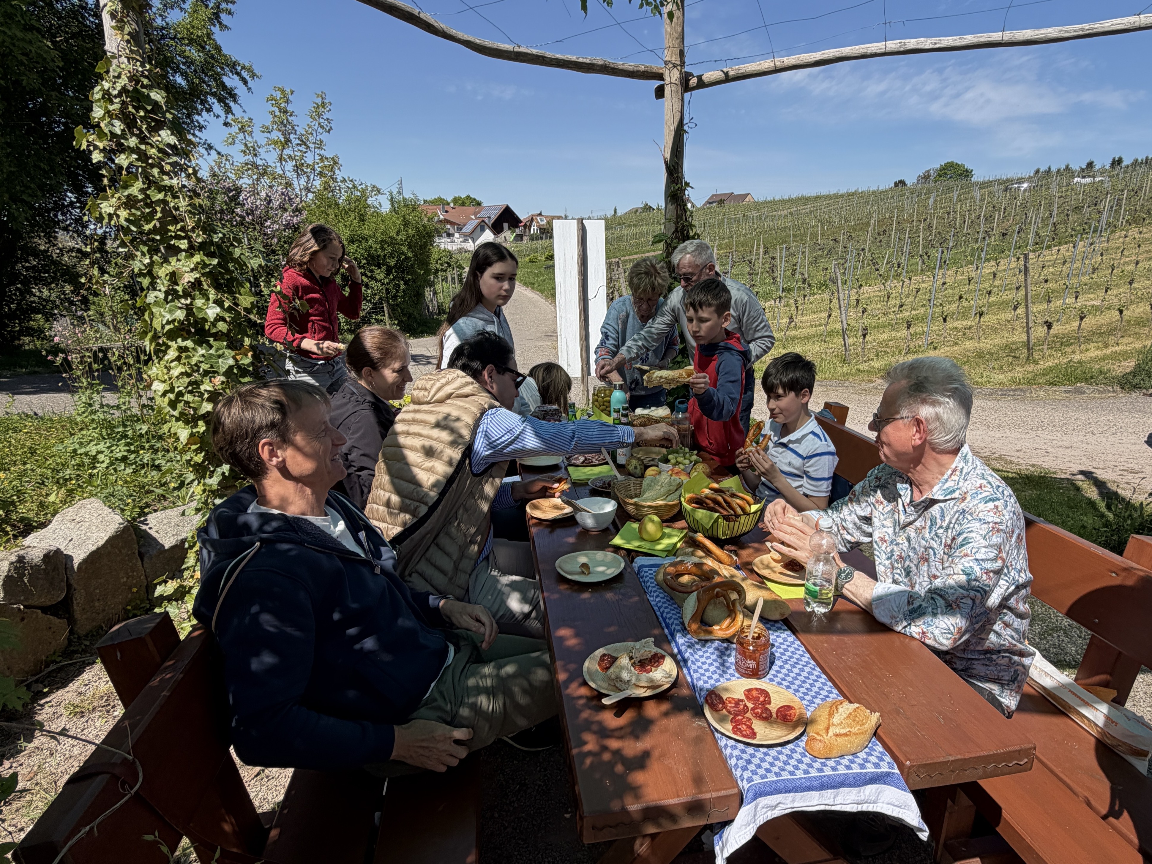 In den Weinbergen beim Picknick