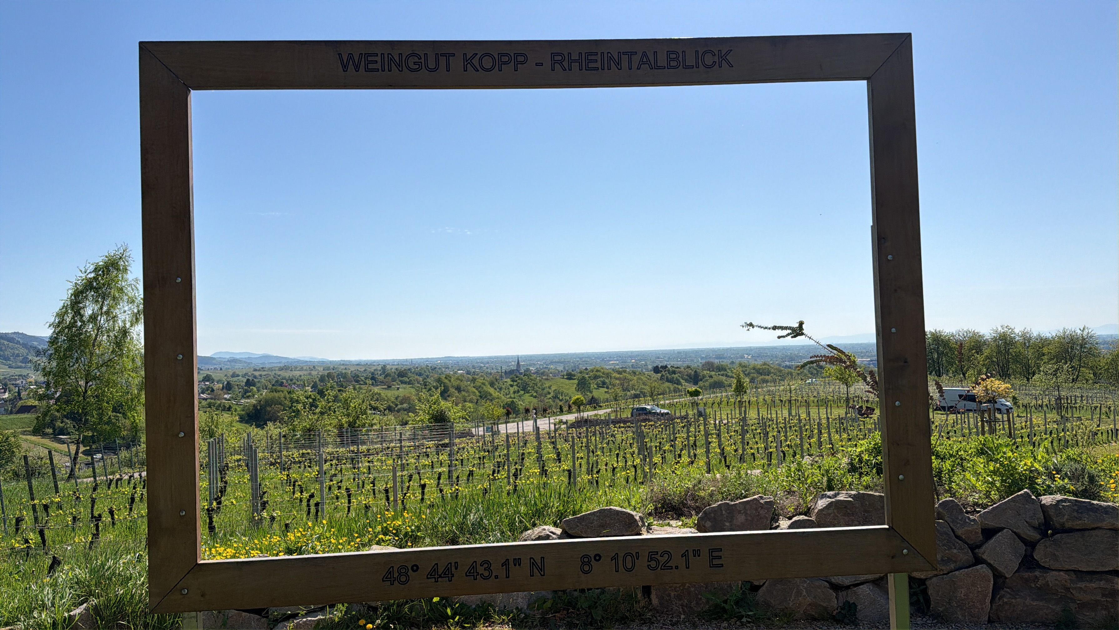 Blick auf die Weinberge des Weinguts Knopp