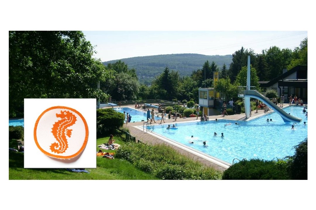 Bild vom Waldschwimmbad mit dem Abzeichen des Seepferdchen in der linken unteren Ecke