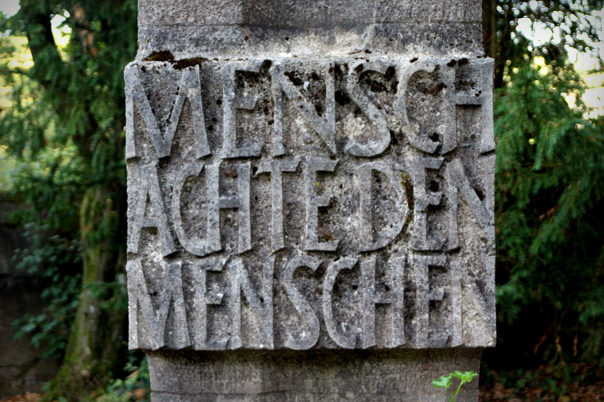 Gedenkstein mit der Inschrift "Mensch achte den Menschen"