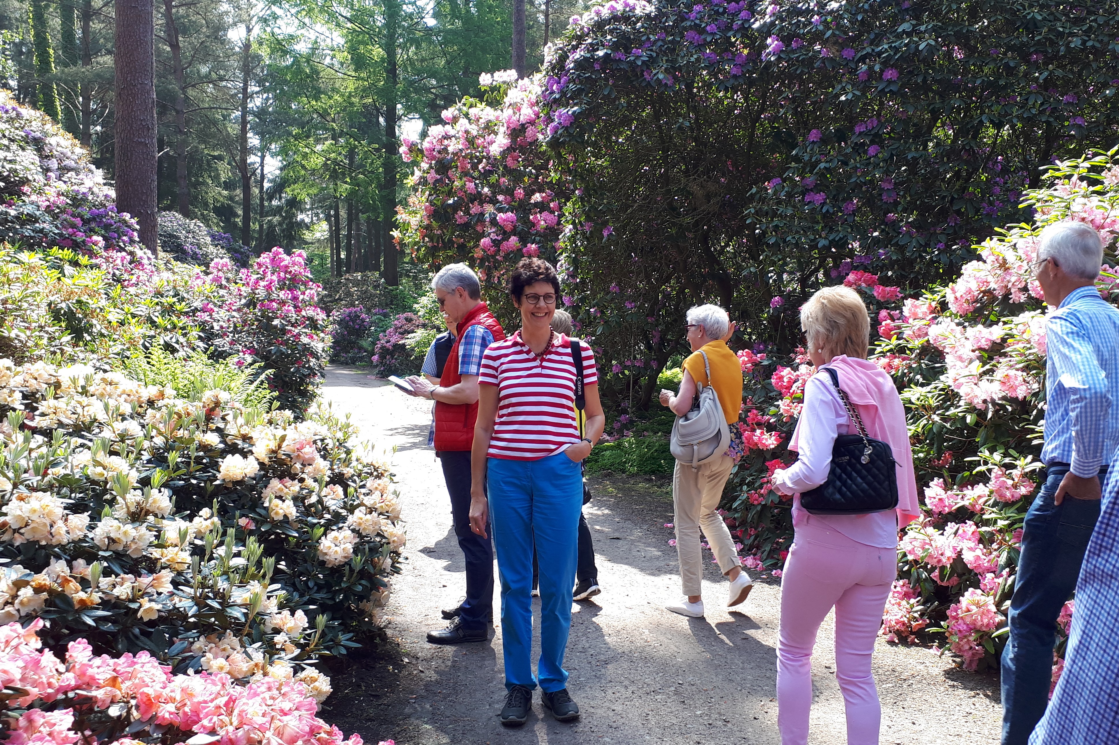 Personengruppe in Mitten von Rhododendron Büschen